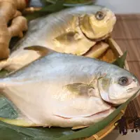 在飛比找樂天市場購物網優惠-【有魚生鮮】金鯧雙魚組