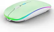 [WREANU] Wireless Bluetooth Mouse Rechargeable Laptop Mice with LED Lights Silent Slim Use(BT5.2 and 2.4G Portable USB) Dual Mode Computer Mouse for Laptop/iPad/Tablet/Apple/Computer/Mac (Green)