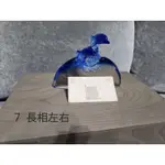 賣啥貨～TITTOT 琉園琉璃藝術作品～長相左右7/海豚/藍色/海