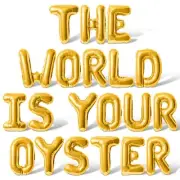 THE WORLD IS YOUR OYSTER Letter Balloon Banner - Graduation Day Party Decoration
