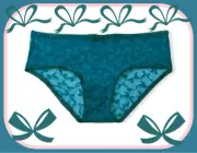 XL Jade Turquoise Blue Bow Ribbon Flocked Mesh Victorias Secret Hiphugger Pantie