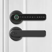 Smart Biometric Door Lock APP Control Fingerprint Door Lock with Handle OZMC