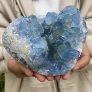 2.4LB Natural Beautiful Blue Celestite Crystal Geode Cave Mineral Specimen