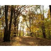 Luxury Cabin Adjoins Cuyahoga Valley National Park