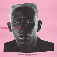 在飛比找Yahoo!奇摩拍賣優惠-中陽 現貨Tyler, the Creator IGOR 正