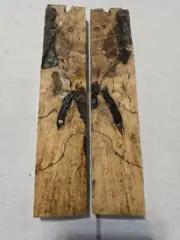 Stabilized Spalted Maple Knife Scales #48