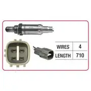RAE Oxygen Sensor - OX493