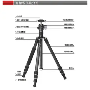 Marsace C29TR 腳架 反折碳纖三腳架雲台套組 相機腳架 (公司貨)