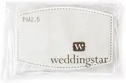 Weddingstar PM 2.5 Protective Mask Filters 5-layer Carbon Technology - 10 pack