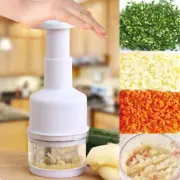 Manual Hand Held Slap Food Chopper Ginger Garlic Crusher Portable Kitchen Tool
