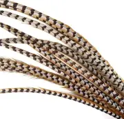 1 Pcs REEVES PHEASANT Natural Feathers 20-25” Crafts/Halloween/Burlesque/Hats