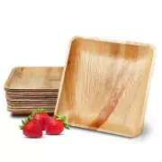 25 Disposable Palm Leaf Plates, 8inch(20cm) , Eco Friendly Biodegradable1300