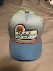 Patagonia Kids Interstate Hat Palm