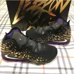 NIKE LEBRON XVII EP PURPLE & GOLD 17代 紫金 籃球 BQ3178-004 慢跑鞋