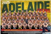 ADELAIDE CROWS 2025 AFL FOOTBALL CHAMPION TEAM PLAYER POSTER,BIG 420mm,Bargain