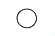 Onga Pump Swivel Barrel Union O-Ring