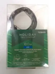 Holiday Living 60 LED Warm White 19.6-ft Battery Operated String Lights W/Timer