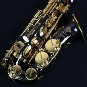 H.Selmer SIGNATURE AS/Back Lacquererd Alto Saxophone/Signature Shimamura