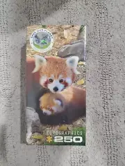 EG82515557 - Eurographics Puzzle 250 Pc - Red Pandas- Brand New Never Opened
