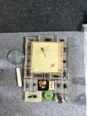 Insect/Bug/Floral Specimens In Resin Blocks(22) W Hand Held Magnifying Glass Lot