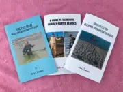 MINELAB CTX 3030 TOURIST BEACH HUNTING SET