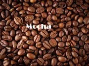 MOCHA 1kg Artisan Small Batch Hand Roasted Organic Coffee Beans