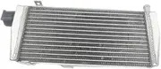 Compatible With FIT Rotax Max EVO 125 Junior Max Go-Kart 125 2011-2015 Aluminum Radiator 12 13 14 11 15 2012 2013 2014 2015