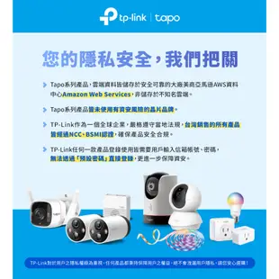 TP-Link Tapo C420S2 2K QHD 400萬 WiFi監視器 全彩夜視 電池攝影機 雙向語音(兩入組)