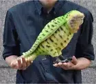 Hansa Kakapo 33 Bird Realistic Big Plush Toy Doll BH7845 Green Japan New