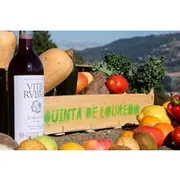 Save 10.00%! Traditional Cooking Class, Farm Tour & Lunch in the Douro Valley