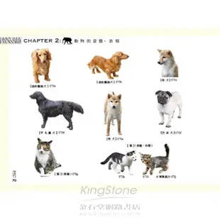 動物寫真素材集（附圖庫DVD光碟）【金石堂】