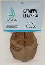 Sea Almond Tree Leaves Catappa XL +20 cm - Catappa Leaves - 10 Pieces - Natural Water Conditioner & Dietary Supplement for Freshwater Aquarium Fish, Shrimp - Fish Food & Shrimp Food