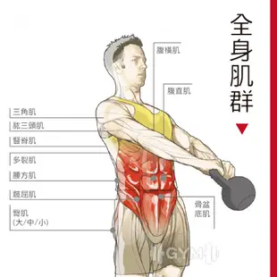 壺鈴 烤漆壺鈴 鑄鐵啞鈴 競技壺鈴 重訓 核心訓練 拉環壺鈴 深蹲 甩鈴 重量訓練 健身用品 現貨 廠商直送