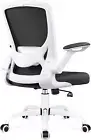 Ergonomic Office Chair, Breathable Mesh Desk Chair, Lumbar Support Computer Chai