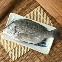 在飛比找台灣好農優惠-【台西聚鮮】生態飼育黑格魚250g