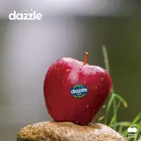 在飛比找蝦皮購物優惠-【舒果SoFresh】紐西蘭Dazzle炫麗蘋果 15顆/3