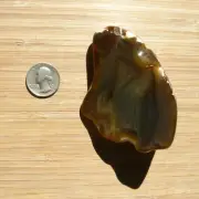 Agate Geode Slice Cut Polished Display Stone Brown Crystal with White Rock Back