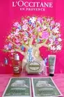 L’OCCITANE Almond Amande Exfoliating Delicious Soap Shower Oil Hands Body Mi SET