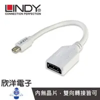 在飛比找蝦皮商城優惠-LINDY 轉接器 MINI DISPLAYPORT 公 T