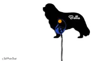 Cavalier King Charles Spaniel Dog - Custom Name Dog Leash Holder - Wall Hook