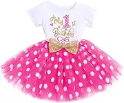 [IMEKIS] Baby Girls 1st 2nd Birthday Outfit Mouse Ladybug Dress Polka Dots Tutu Skirt ONE Cake Smash Costume for Photo Shoot