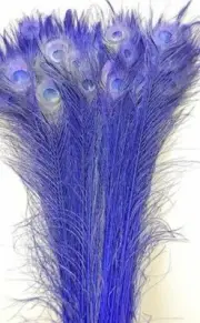 25 Pcs BLEACHED PEACOCK TAILS Feathers 30-35" ROYAL BLUE ; Hat/Dance/Halloween