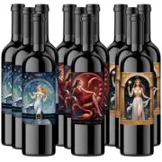 12 Bottles MIXED Cabernet Sauvignon 750ml Libra Scorpio Virgo SA Red Wine