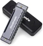 Blues Harmonic Mouth Organ 10 Hole C Key Beginner Harmonica with Case,Gift Black