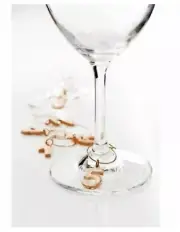 Set of 6 Copper Wine Stem Glass Charms by Viski