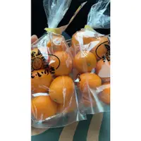 在飛比找蝦皮購物優惠-日本鹿兒島金桔🍊三包一組出貨