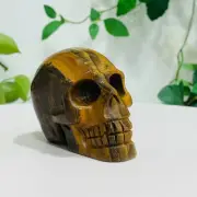 257g Natural Tiger Eye Quartz Hand Carved Crystal Skull Meditation Medium