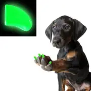 ALIEN GLOW ~ 60 PIECE Soft Nail Caps for Dog Claws ~ PRETTY CLAWS ~ Paws Off