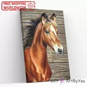 Paint By Numbers Kit Horse Animal Art Acrylic Oil Framed Adult Beginner Home DIY