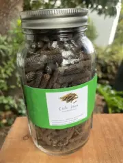 1 Lb Long Pepper Java Pepper Peppercorn Spice